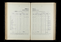 file details