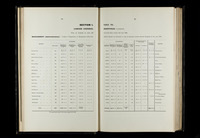 file details