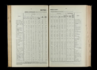 file details
