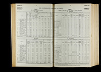 file details