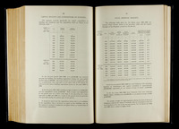 file details