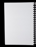 file details