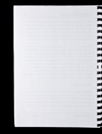 file details
